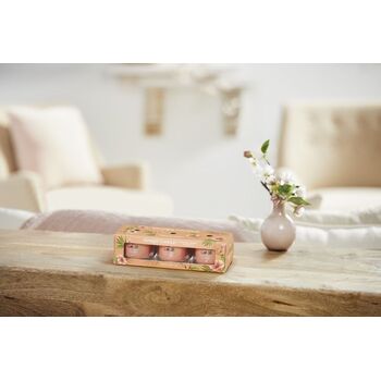 Sada votívnych sviečok v skle Tropica l Breeze